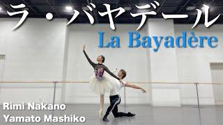 【本気バレエ #14】ラ・バヤデールよりニキヤとソロルのパ・ド・ドゥ | Pas de deux from La Bayadère Act lll