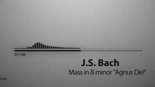 J.S. Bach: Mass in B minor "Agnus Dei" Rasuloff Remix 2020