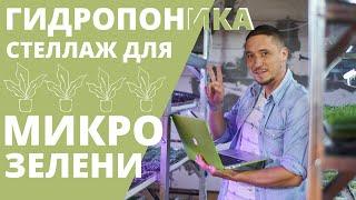 Выращивание на Гидропонике Стеллаж Микрозелень Обзор микрогрин  гидропоника