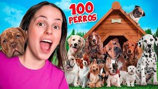 ADOPTING 100 DOGS FOR 24 HOURS!