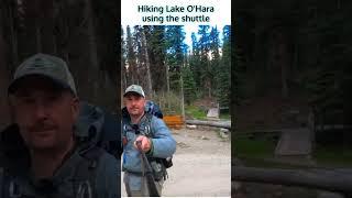 Hiking Lake O'Hara using the bus shuttle