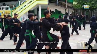 Latihan Pencak Silat Pagar Nusa ! Teknik Beladiri Praktis