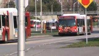 OC Transpo: 10 Minutes At Hurdman