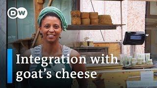 Making cheese in the Alps - a story of integration | DW Documentary