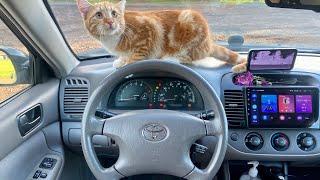 2003 Toyota Camry LE ASMR RELAXING POV CAT TEST DRIVE