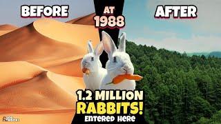 STOP Raising Camels in the Desert, Rabbits Are Better - China Proved it!