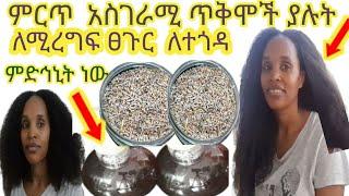 አንድ ግብአት ብቻ ፈጣን የሚገርም የውጥ ያሳያል ለሚረግፍ ለተጎዳ ፀጉር መፍትሔ ነው  #Usefull #Hair #Treatment