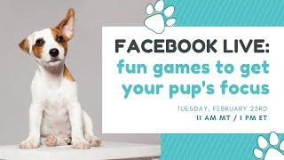 Live Replay: Teach your Dog to Focus with 3 Fun Dog Training Games (teach your puppy to focus)