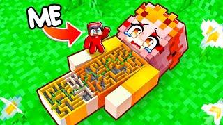 I Found a SECRET MAZE Inside Mia!