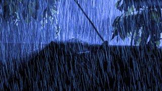 Rain Sounds for Stressful Days for Deep Sleep | Thunder Echoes in the night, Terrifying Lightning