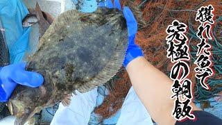 When I went to the fishing at 4a.m. to catch my breakfast, I caught a lot of flounder.