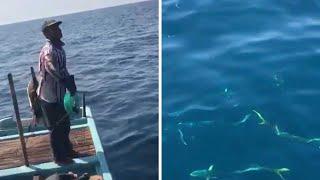 Sailors Feed Wild Pod Of Dolphins