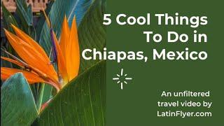 5 Cool Things to do in Chiapas, Mexico