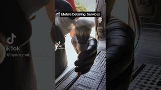 Satisfying Car Detailing | Mobile Detailing Service | Visalia Ca