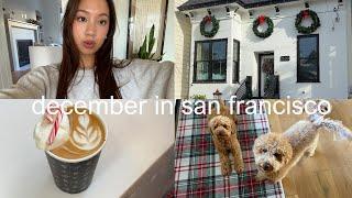 back in san francisco ⟡˖ ࣪ chilling at home, daily routine