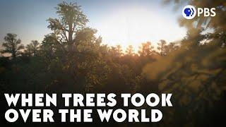 When Trees Took Over the World