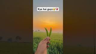 #desi #farmerlover #explore #farmer #foryou #farming #viralvideo #feedshorts #shorts #likeforlikes