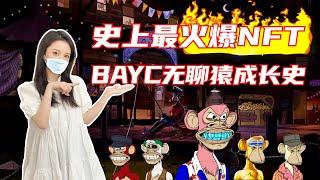 最火爆NFT｜BAYC数字收藏品，无聊猿成长史｜APE代币｜NFTs里永远的神，无聊猿的发展前景｜Otherside元宇宙｜无聊猿创作者