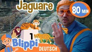 Blippi besucht Tiere im Zoo | Blippi Deutsch | Abenteuer und Videos für Kinder