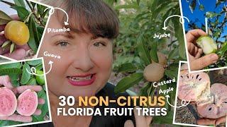 Top 30 Non-Citrus Fruit Trees for Florida | Essential Picks, Rare Tropicals & Fun Novelties