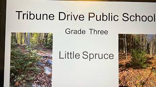 I’m in little spruce tribune drive public school grade 3