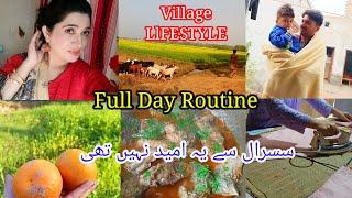 Village Lifestyle Full Day vlog | DAwAT vlog Routine|Humaira vlogs95