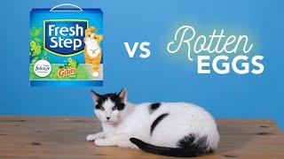 Fresh Step Litter vs Rotten Eggs!