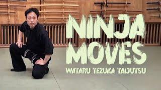 Ninja Moves - Bujinkan honbu dojo Wataru Tezuka Taijutsu