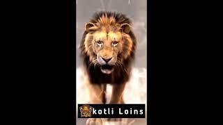 kotli lions #Shorts| Lions are ready to play in very first Season of #kashmirpremierleague | kpl2021