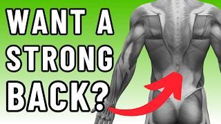 4 Back Strength Exercises for Seniors (No Gym Required!) | Physio Strength & Fitness for Adults 55+