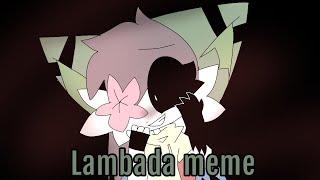 Lambada meme (com)