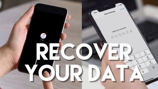 How to recover lost data from iPhone with iMyFone D-Back