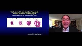 Dr. Richard T. Lee: Regeneration of a new heart: the stem cell approach