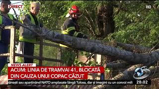 Linia 41 de tramvai din București, blocată complet de un copac căzut