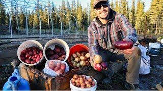 Annual Potato Harvest, Planting Garlic & Putting the Garden to Bed | Saying Goodbye to a Friend