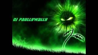 DJPaullywally - Marijuana (Dubstep) [1080p!]