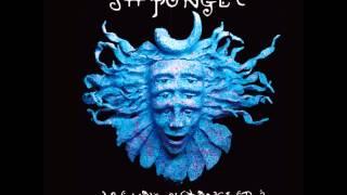 Shpongle - Are You Shpongled [Full album]