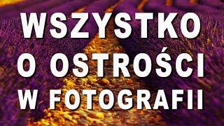 Głębia OSTROŚCI w fotografii? Super tutorial foto. Sekrety Fotografii na polu lawendy.