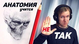 Анатомия для художников. Хватит учить её ТАК!