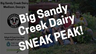 Sneak Peek - Big Sandy Creek Dairy Live Chat