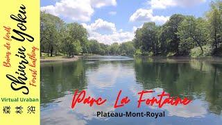 Parc _ La Fontaine _ Park  (Montreal)