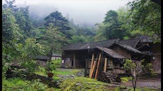 【山居生活】00後隱居山中一年，談談如何面對孤獨