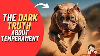 The Shocking Truth About Pit Bull Temperament Everyone Needs to Know!