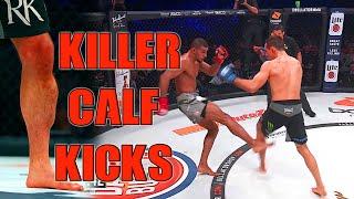 10 MMA fights with VICIOUS calf kicks