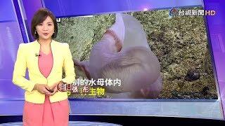 2019.09.21  台視主播 張彤 《900整點新聞》