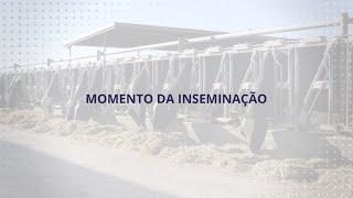 USLGE | Beef and Dairy | Timing of Insemination in U.S. Cattle (Portuguese)