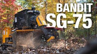 The Newly Updated BANDIT SG-75 Stump Grinder Keeps Out-grinding the Competition!