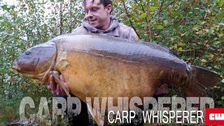 World record  carp non-pay lake #Carp Whisperer community