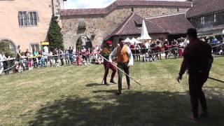 Dreynschlag - Coburg 2013 - Speer, Mordaxt, Stange