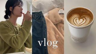 Vlog | 공무원 직장인 브이로그 | 2025년 새해 맞이 | 언박싱(더히어, 리본빛 에디트 퍼) |  이케아 쇼핑 | 일상 브이로그